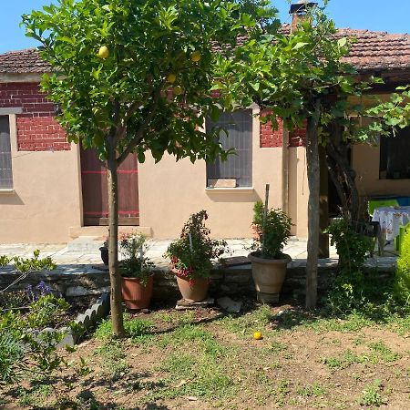 Tilemvi Seaside House Milina Pelion!!! Villa Koukouleika Kültér fotó